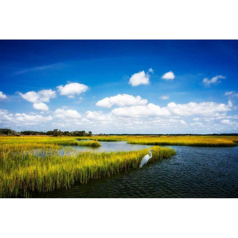 Wetland Herons II White Modern Wood Framed Art Print by Hausenflock, Alan