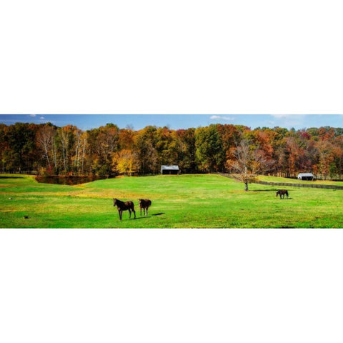 Virginia Horse Farm I Black Modern Wood Framed Art Print with Double Matting by Hausenflock, Alan