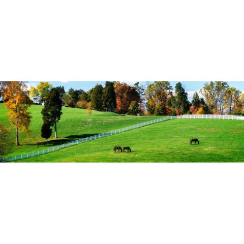 Virginia Horse Farm II Black Modern Wood Framed Art Print with Double Matting by Hausenflock, Alan