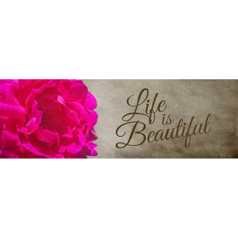 Life is Beautiful Black Modern Wood Framed Art Print with Double Matting by Hausenflock, Alan