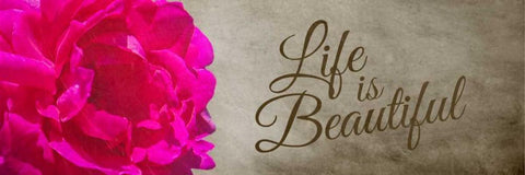 Life is Beautiful Black Ornate Wood Framed Art Print with Double Matting by Hausenflock, Alan