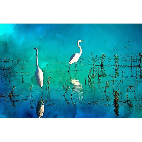 Wading Herons I White Modern Wood Framed Art Print by Hausenflock, Alan