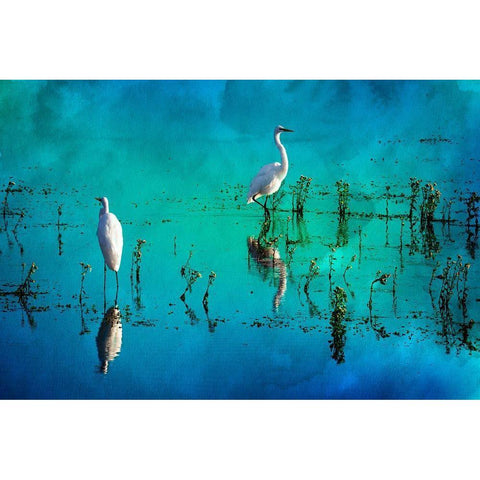 Wading Herons II White Modern Wood Framed Art Print by Hausenflock, Alan