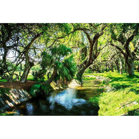 Saint Simons Waterway Black Modern Wood Framed Art Print with Double Matting by Hausenflock, Alan