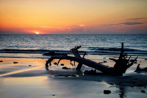 Jekyll Island Sunrise I Black Ornate Wood Framed Art Print with Double Matting by Hausenflock, Alan