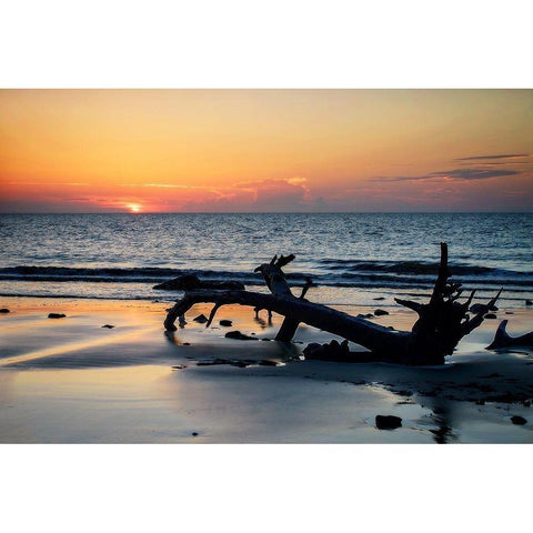 Jekyll Island Sunrise I White Modern Wood Framed Art Print by Hausenflock, Alan