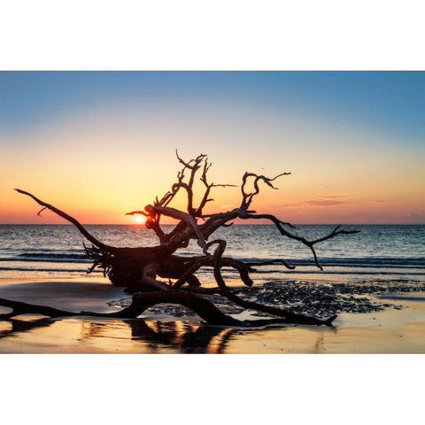 Jekyll Island Sunrise III White Modern Wood Framed Art Print by Hausenflock, Alan