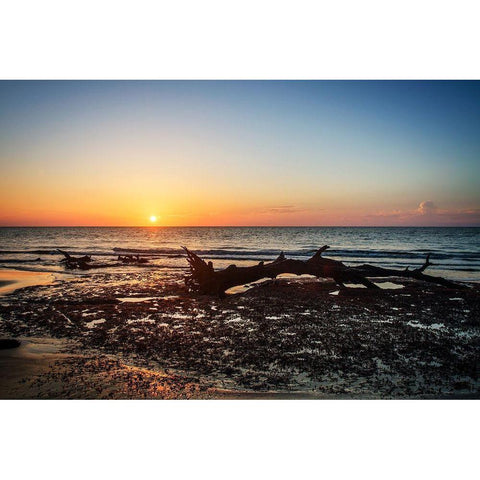 Jekyll Island Sunrise IV Gold Ornate Wood Framed Art Print with Double Matting by Hausenflock, Alan