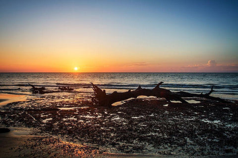 Jekyll Island Sunrise IV Black Ornate Wood Framed Art Print with Double Matting by Hausenflock, Alan