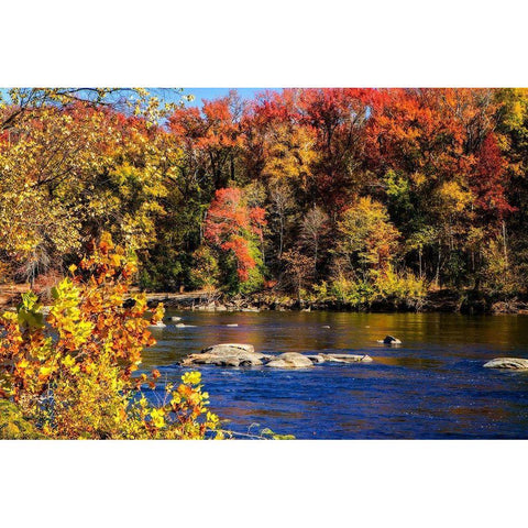 Autumn by the River I White Modern Wood Framed Art Print by Hausenflock, Alan