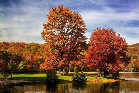 Autumn by the River II White Modern Wood Framed Art Print with Double Matting by Hausenflock, Alan