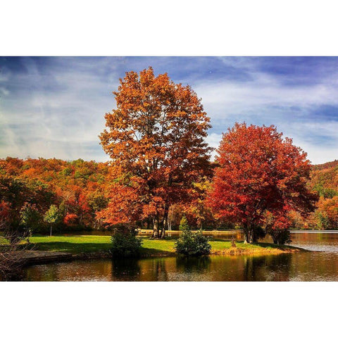 Autumn by the River II Black Modern Wood Framed Art Print with Double Matting by Hausenflock, Alan