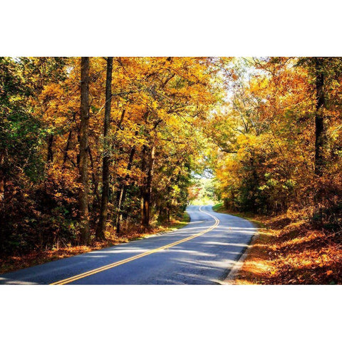 Walnut Grove Road I White Modern Wood Framed Art Print by Hausenflock, Alan