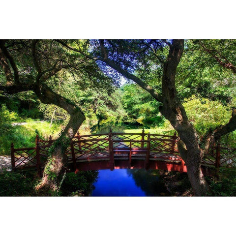 Bridge over Quiet Water Gold Ornate Wood Framed Art Print with Double Matting by Hausenflock, Alan