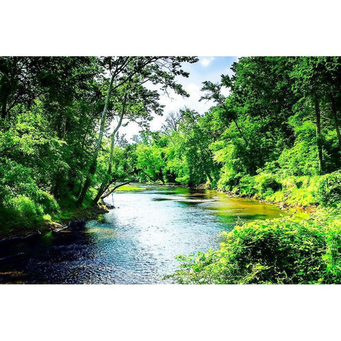 Summer Day on the Neuse River Gold Ornate Wood Framed Art Print with Double Matting by Hausenflock, Alan