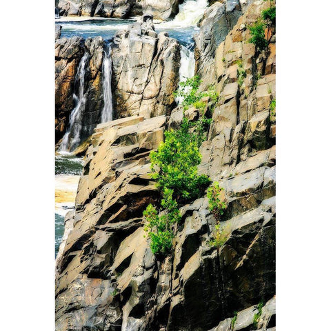 Cascading Water I Black Modern Wood Framed Art Print with Double Matting by Hausenflock, Alan