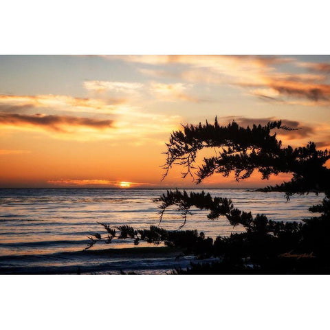 Sunset on Carmel Bay Gold Ornate Wood Framed Art Print with Double Matting by Hausenflock, Alan