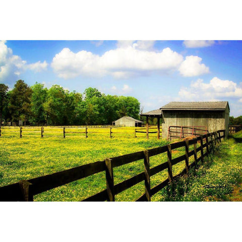 Spring on the Ranch Gold Ornate Wood Framed Art Print with Double Matting by Hausenflock, Alan