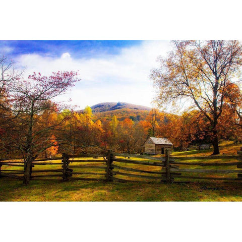 Mountain Homestead Black Modern Wood Framed Art Print with Double Matting by Hausenflock, Alan