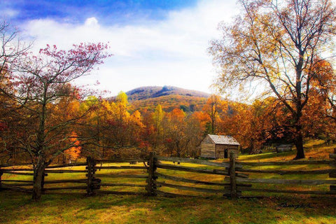 Mountain Homestead Black Ornate Wood Framed Art Print with Double Matting by Hausenflock, Alan