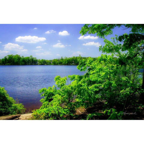 Swift Creek Lake White Modern Wood Framed Art Print by Hausenflock, Alan