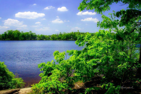 Swift Creek Lake Black Ornate Wood Framed Art Print with Double Matting by Hausenflock, Alan