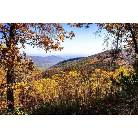 Blue Ridge Autumn Gold Ornate Wood Framed Art Print with Double Matting by Hausenflock, Alan