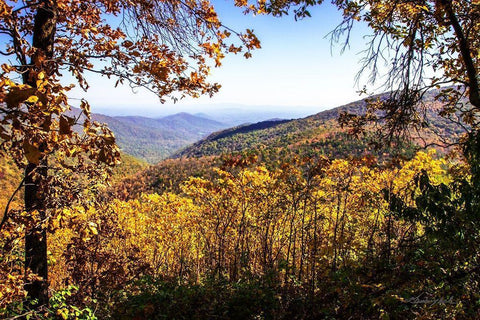 Blue Ridge Autumn White Modern Wood Framed Art Print with Double Matting by Hausenflock, Alan