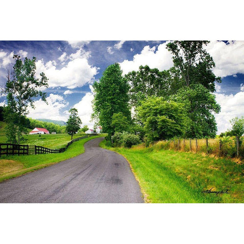 Virginia Byway White Modern Wood Framed Art Print by Hausenflock, Alan