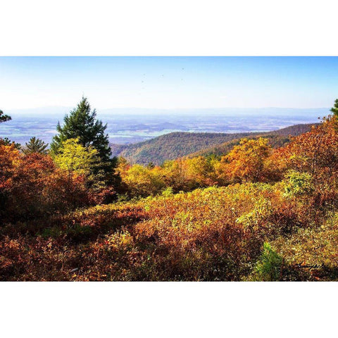 Skyline Drive 6 Black Modern Wood Framed Art Print with Double Matting by Hausenflock, Alan