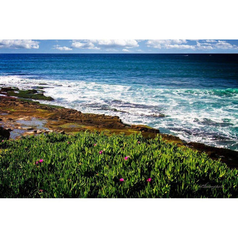 La Jolla Shore Black Modern Wood Framed Art Print with Double Matting by Hausenflock, Alan