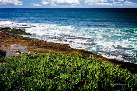 La Jolla Shore Black Ornate Wood Framed Art Print with Double Matting by Hausenflock, Alan