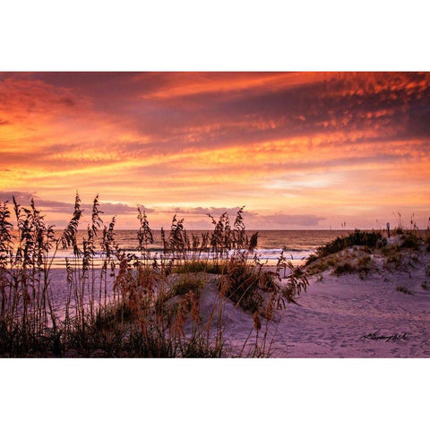 Fiery Beach Sunrise Gold Ornate Wood Framed Art Print with Double Matting by Hausenflock, Alan