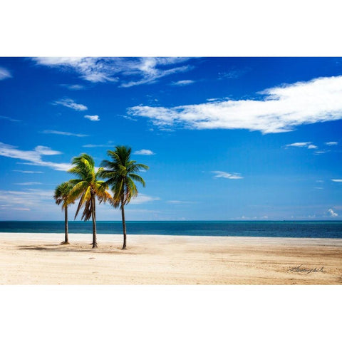 Palms on the Beach III Gold Ornate Wood Framed Art Print with Double Matting by Hausenflock, Alan