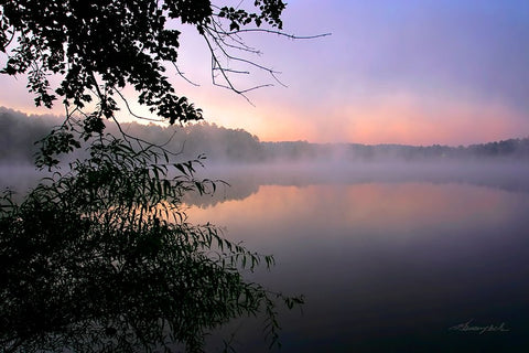 Shelley Lake Fog White Modern Wood Framed Art Print with Double Matting by Hausenflock, Alan