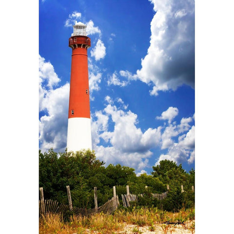 Barnegat Light Gold Ornate Wood Framed Art Print with Double Matting by Hausenflock, Alan