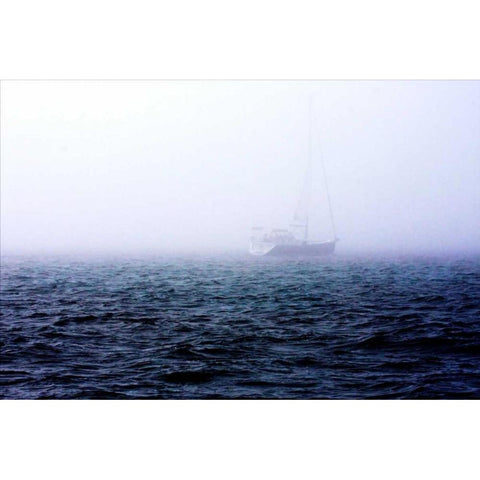 Fog on the Bay I White Modern Wood Framed Art Print by Hausenflock, Alan