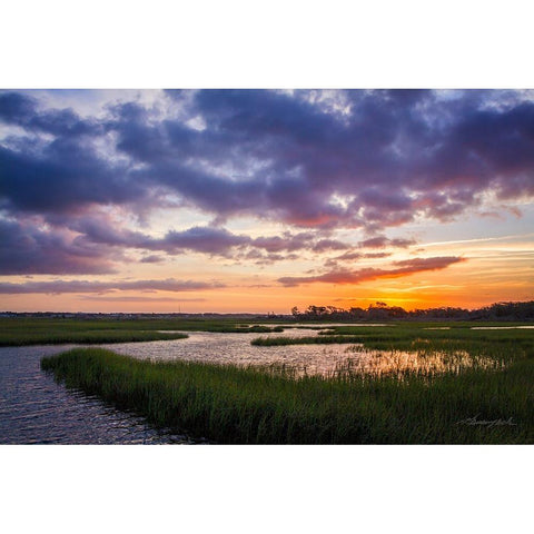 Sunset in the Marsh Gold Ornate Wood Framed Art Print with Double Matting by Hausenflock, Alan