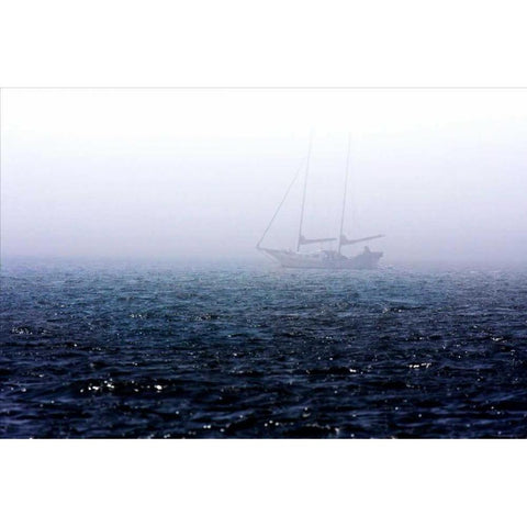 Fog on the Bay II Black Modern Wood Framed Art Print with Double Matting by Hausenflock, Alan