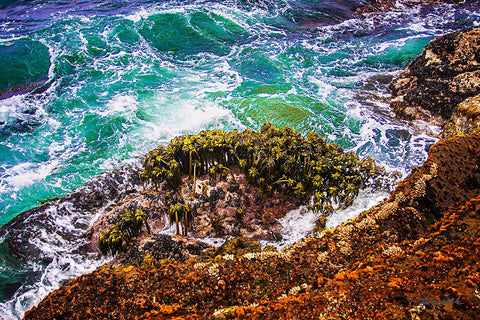 Point Lobos Coastline Black Ornate Wood Framed Art Print with Double Matting by Hausenflock, Alan