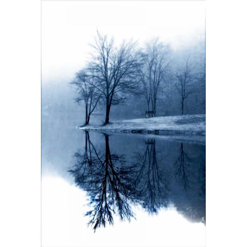 Fog on the Lake I Black Modern Wood Framed Art Print with Double Matting by Hausenflock, Alan