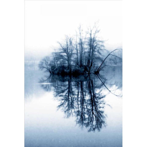 Fog on the Lake II Black Modern Wood Framed Art Print with Double Matting by Hausenflock, Alan