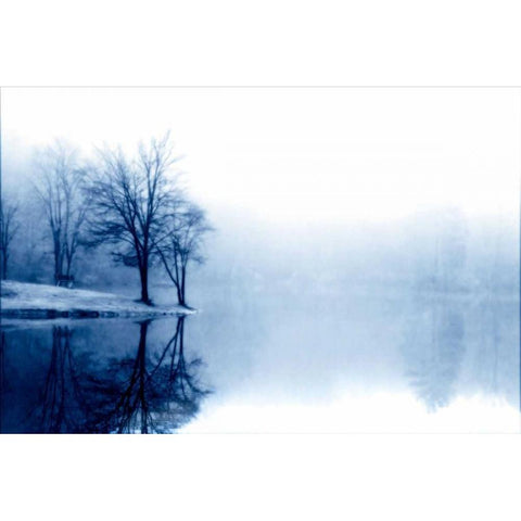 Fog on the Lake III Black Modern Wood Framed Art Print by Hausenflock, Alan