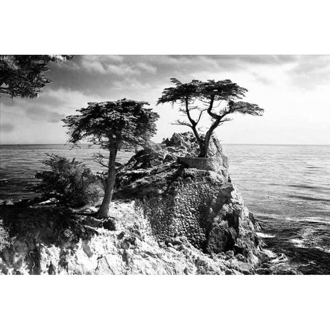 Ocean Cliff I Black Modern Wood Framed Art Print with Double Matting by Hausenflock, Alan