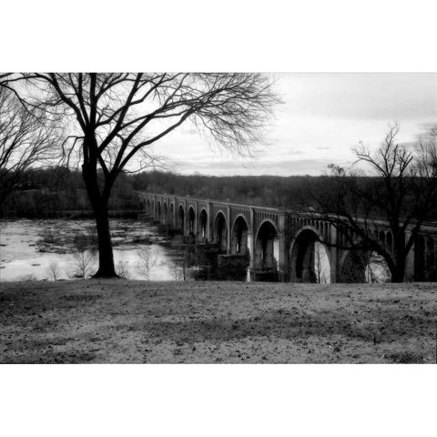 Bridge Across the James V Gold Ornate Wood Framed Art Print with Double Matting by Hausenflock, Alan