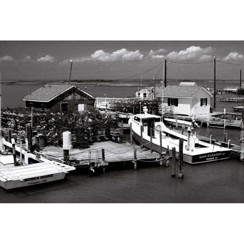 Tangier Island I Black Modern Wood Framed Art Print with Double Matting by Hausenflock, Alan