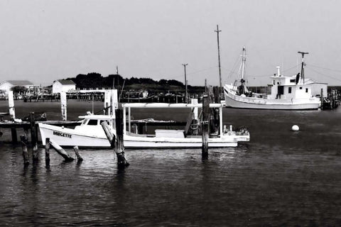 Tangier Island III White Modern Wood Framed Art Print with Double Matting by Hausenflock, Alan