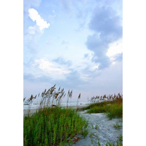 Early Morning in the Dunes V Black Modern Wood Framed Art Print by Hausenflock, Alan