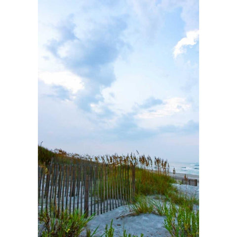 Early Morning in the Dunes VI Black Modern Wood Framed Art Print with Double Matting by Hausenflock, Alan