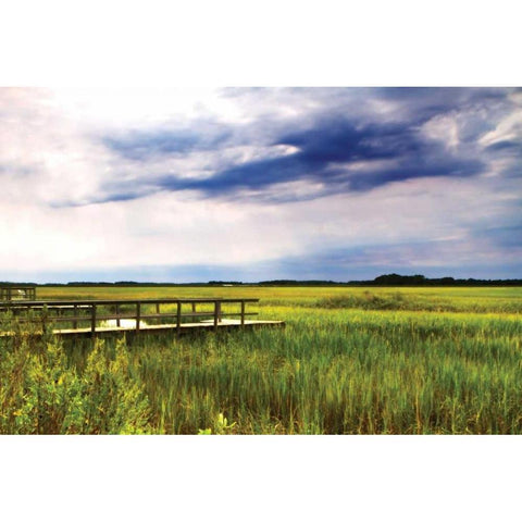 Marshland Storm I White Modern Wood Framed Art Print by Hausenflock, Alan